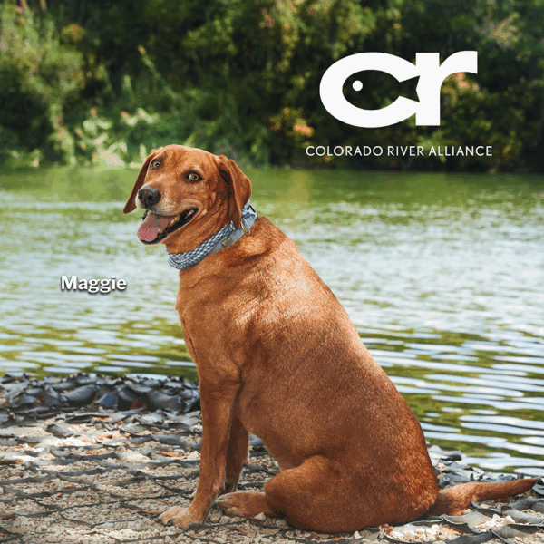 Colorado River Alliance