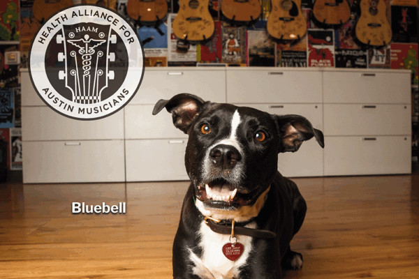 Health Alliance for Austin Musicians (HAAM)