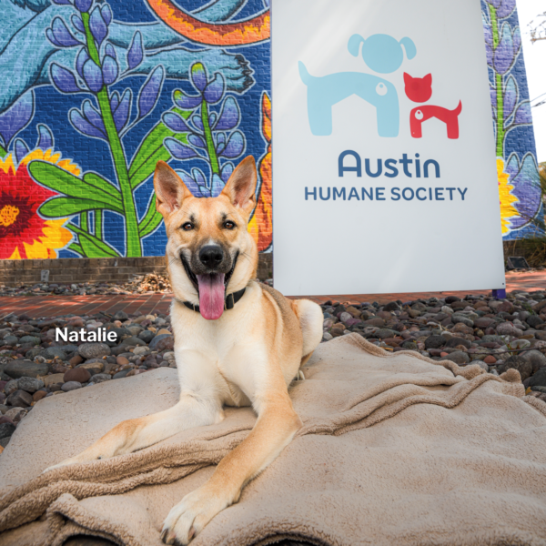Austin Humane Society