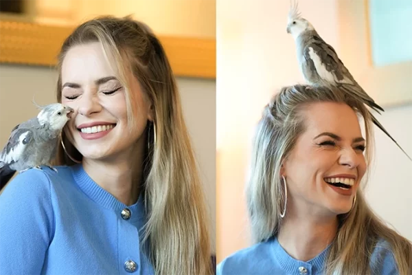 FVF Law Dog Calendar