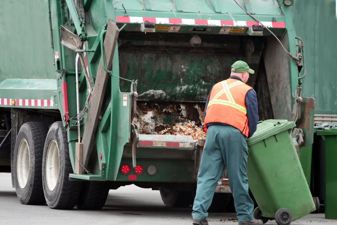 Waste management worker positions green bin on the automatic dumper at the back of truck.